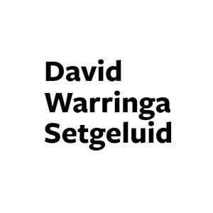 David warringa setgeluid logo